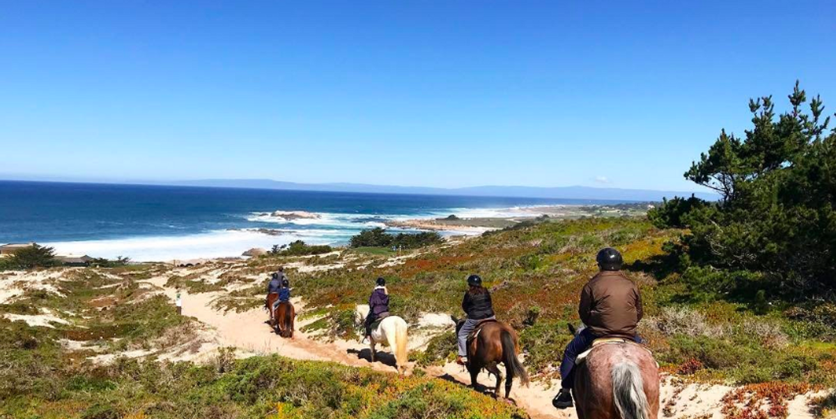 4 Places To Ride Horses On The Beach In Northern California 7x7 4 Places To Ride Horses On The Beach In