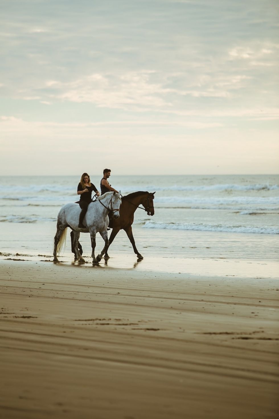 4 Places To Ride Horses On The Beach In Northern California 7x7 4 Places To Ride Horses On The Beach In