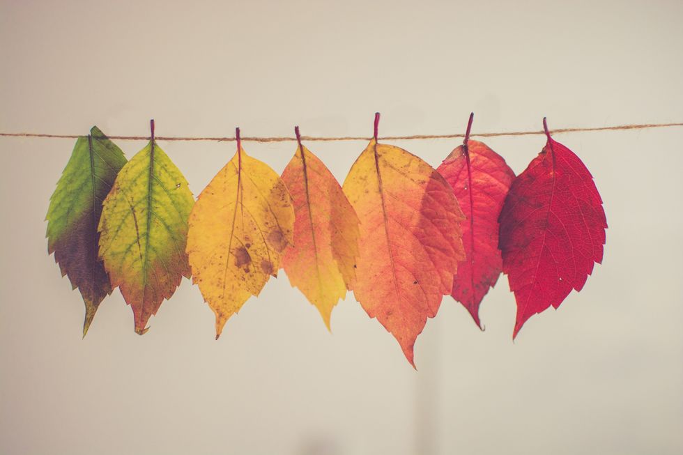 The Best Things About Fall