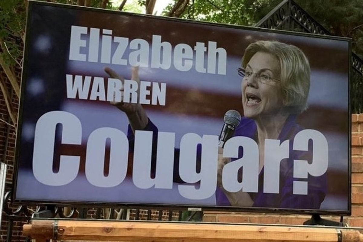You Know What Liz Warren Was Missing? SEXY. Thanks Jacob Wohl And The Other One!