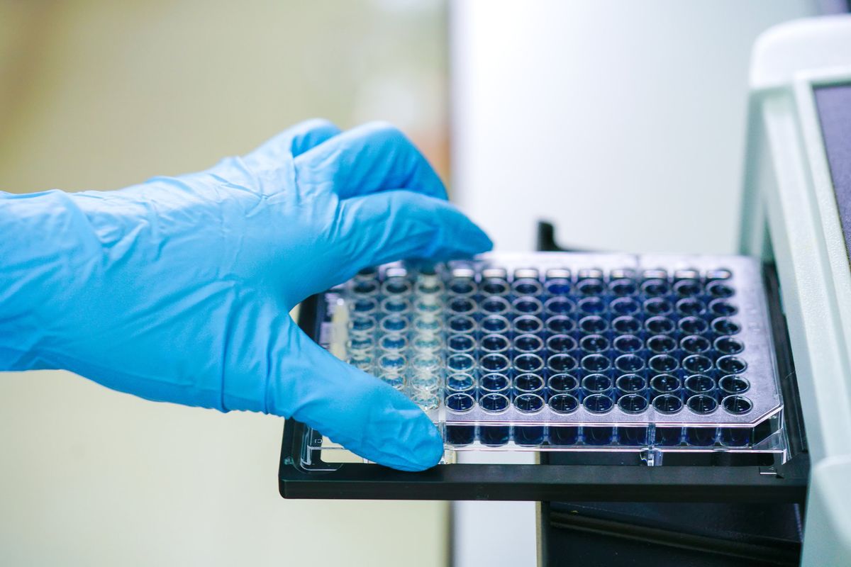Senza testamento biologico i giudici non possono far morire le persone