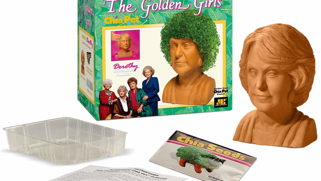 There are 'Golden Girls' Chia Pets, and we need them all