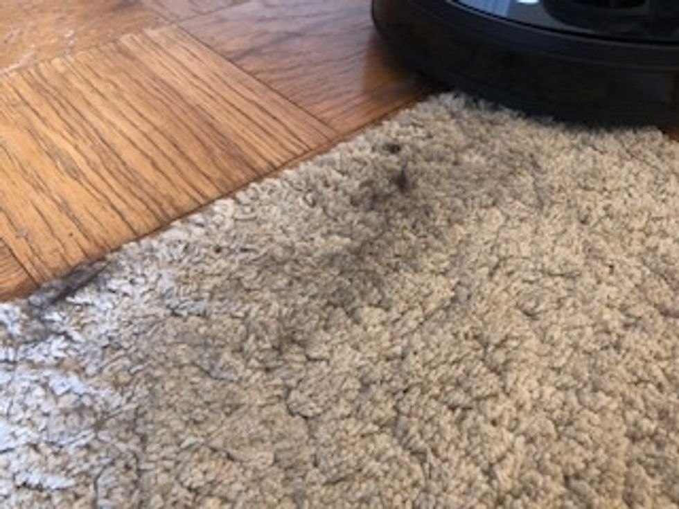 Dark dog hair sitting on top of a white rug and wood floor