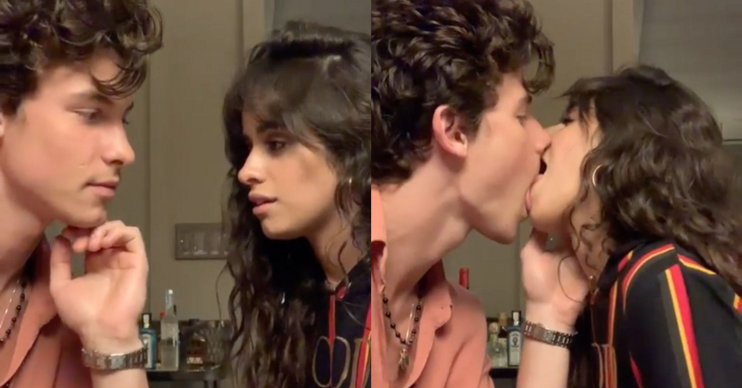 Shawn Mendes And Camila Cabello Shared A Bizarre Kissing Video That Has People Weirded Out