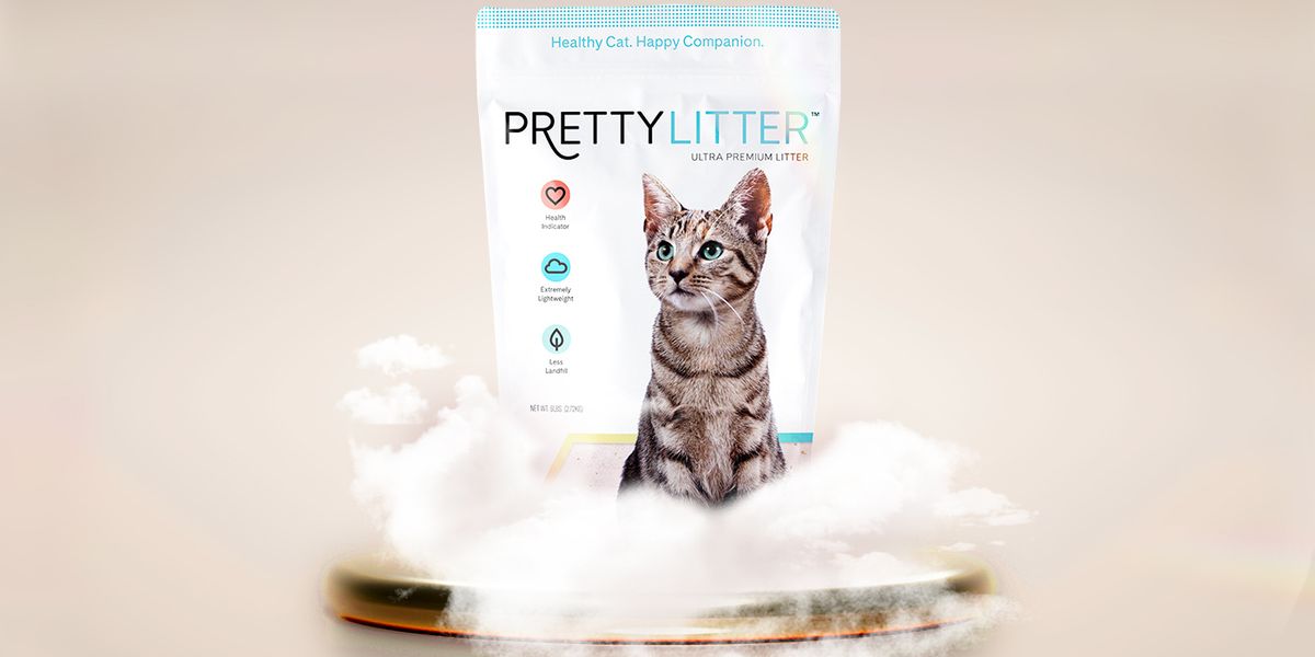I Hate Cat Litter Here’s Why PrettyLitter is Amazing Topdust