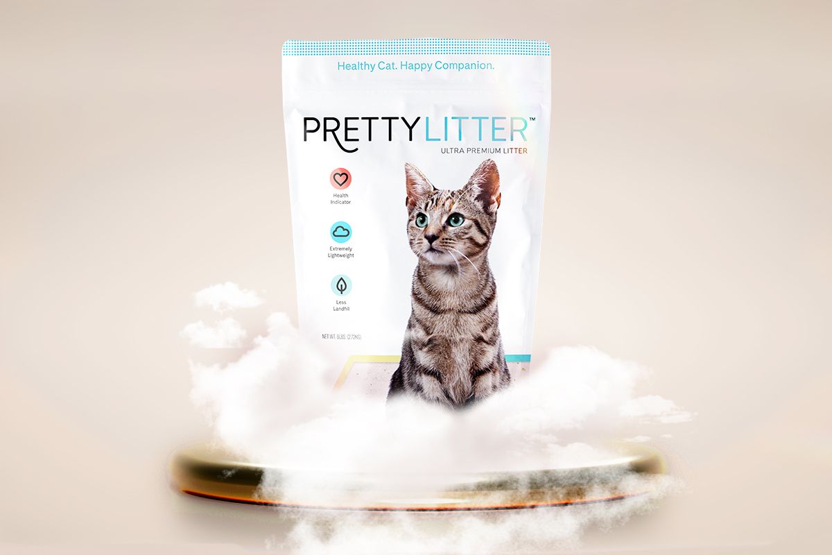I Hate Cat Litter: Here’s Why PrettyLitter is Amazing