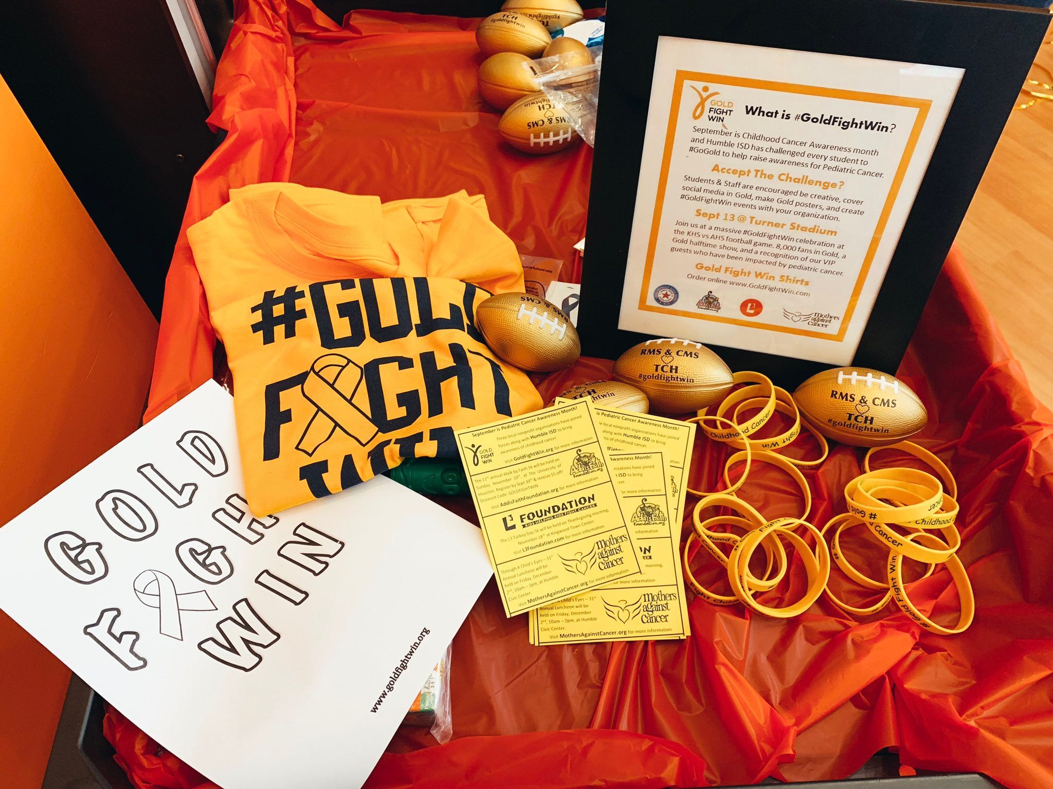 FEATURE: All about the Gold