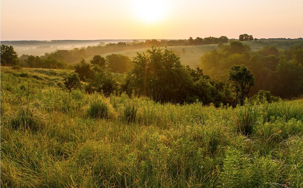 Perfect Places For A Date In Springfield, Missouri