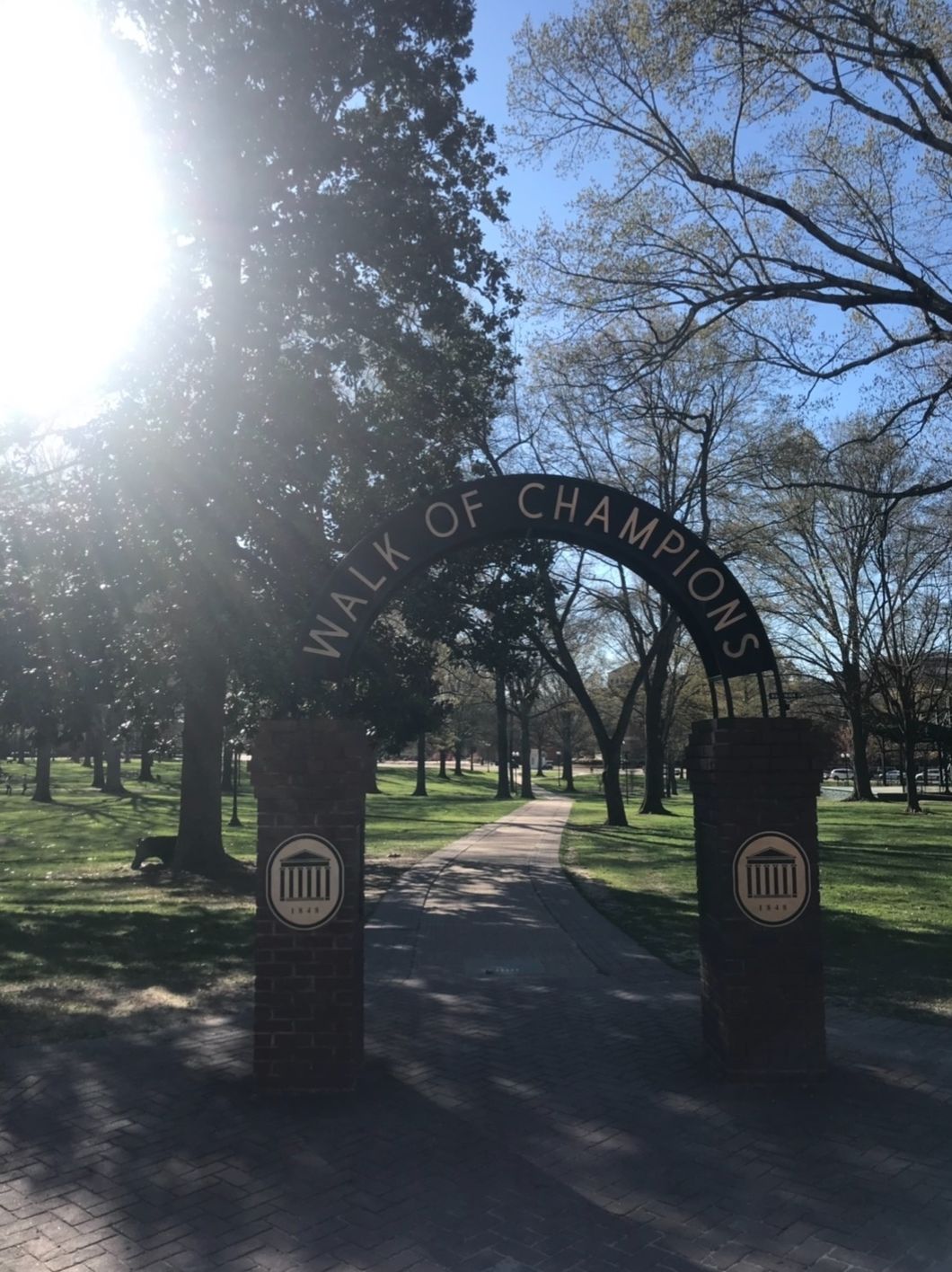 Top 10 Places to Grab Lunch on Ole Miss's Campus