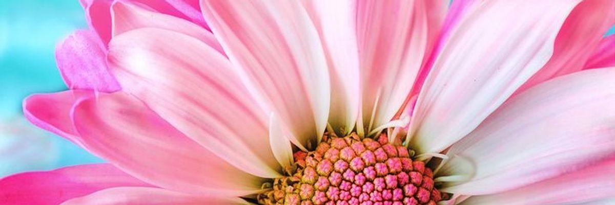 Lorem ipsum dolor sit amet, consectetur adipiscing elit