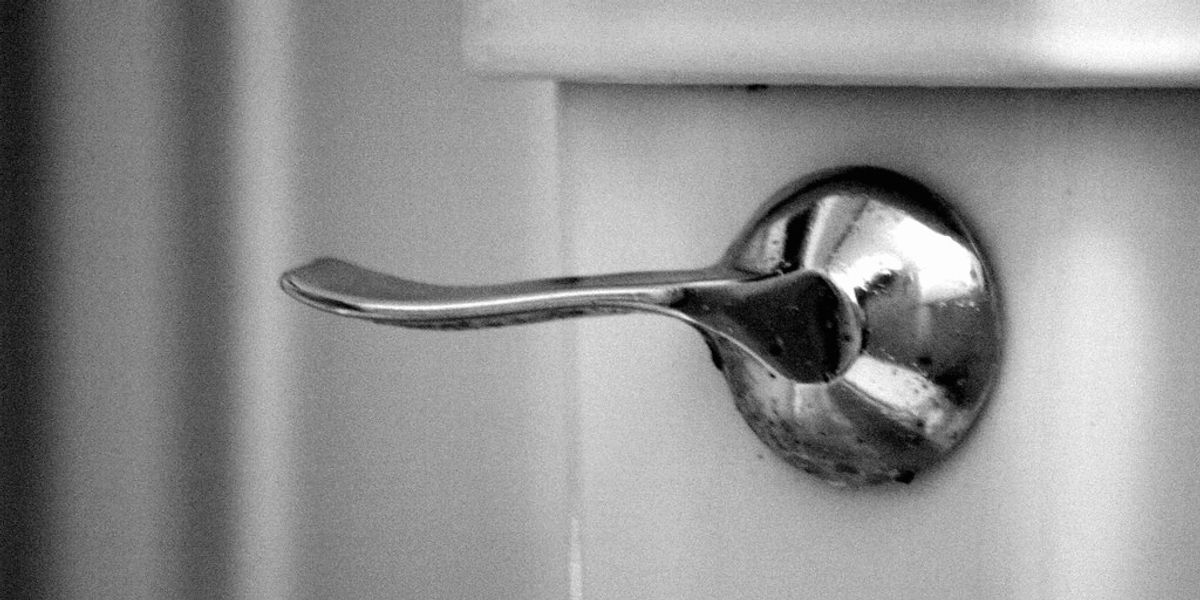 William H. Schlesinger: What happens when you flush?