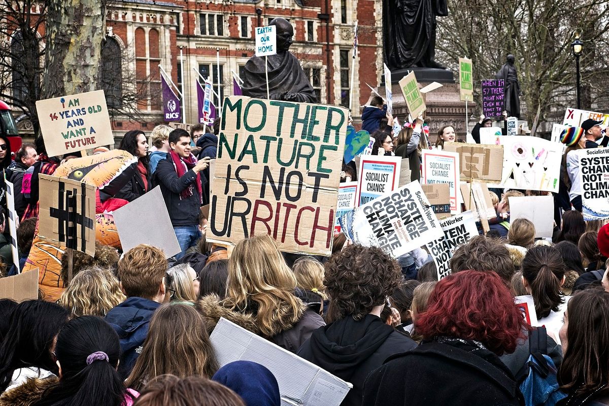 Let's Look At Some Nice Pictures Of The Global Climate Strike!