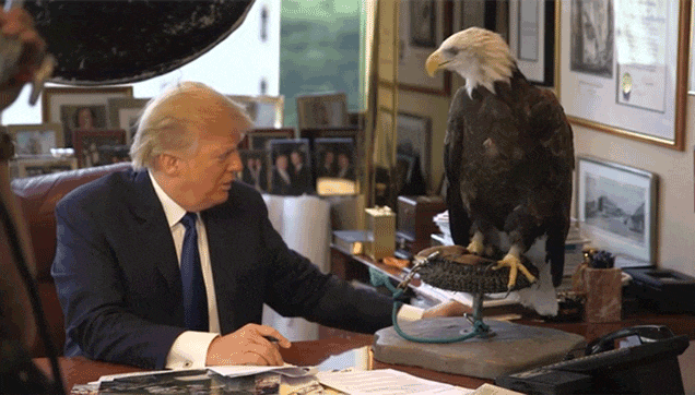 Trump Insists That It's Illegal To Investigate His Crimes, Figures That Everyone Will Just Go Along With It
