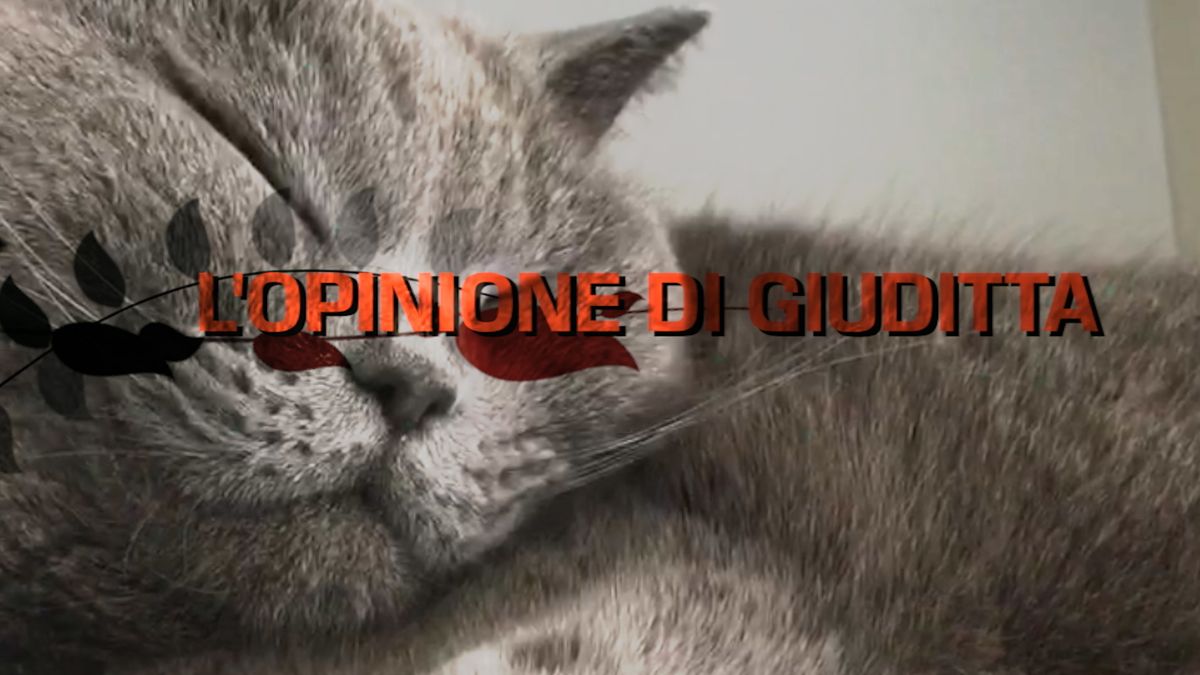 Renzi pensa ai palazzi, ma 96 italiani su 100 non lo vogliono