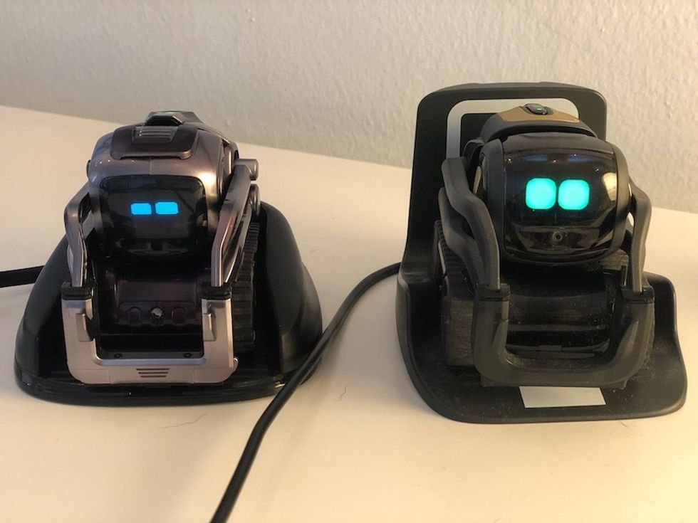 Anki S Cozmo And Vector Greeted Me By Name Five Months Later Gearbrain