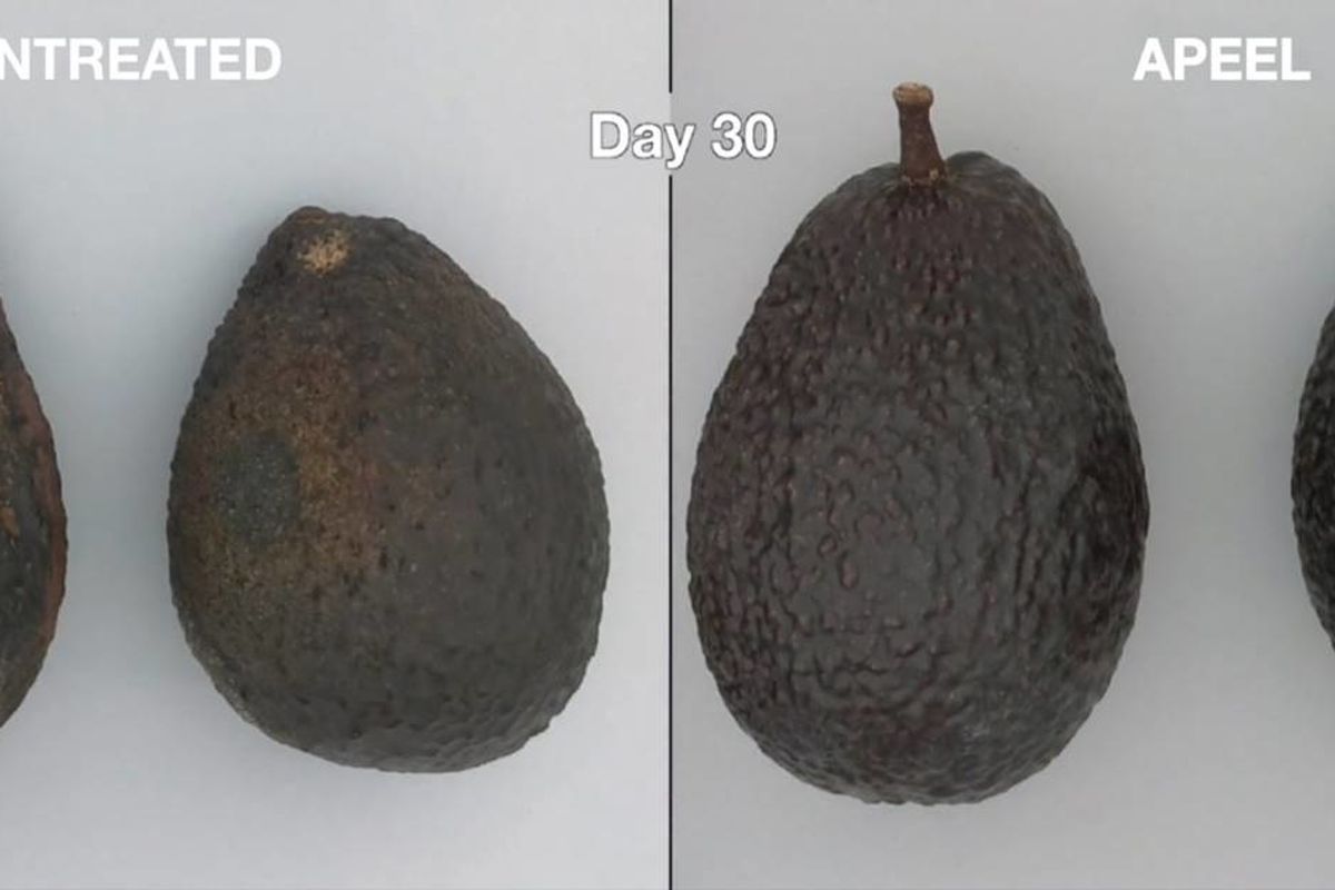 Avocados that stay ripe twice as long to be available nationwide
