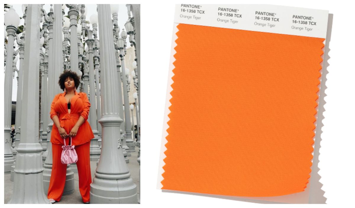 Bright Orange - xoNecole