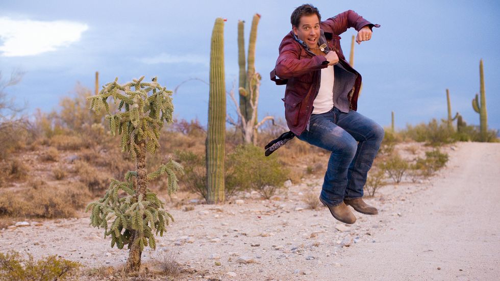 Michael Weatherly jumps for joy