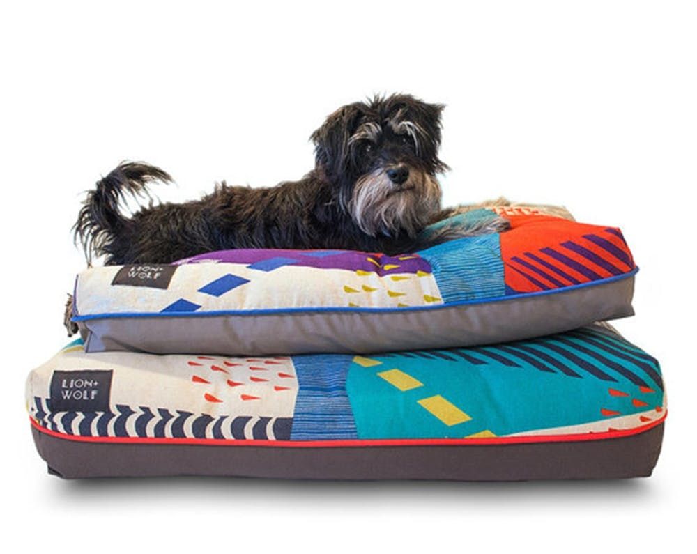 colorful dog beds