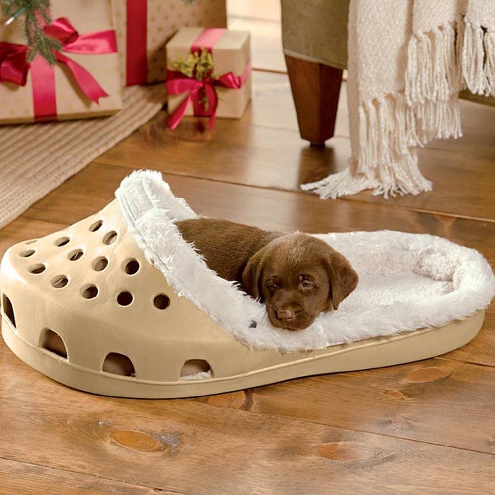 fancy dog beds