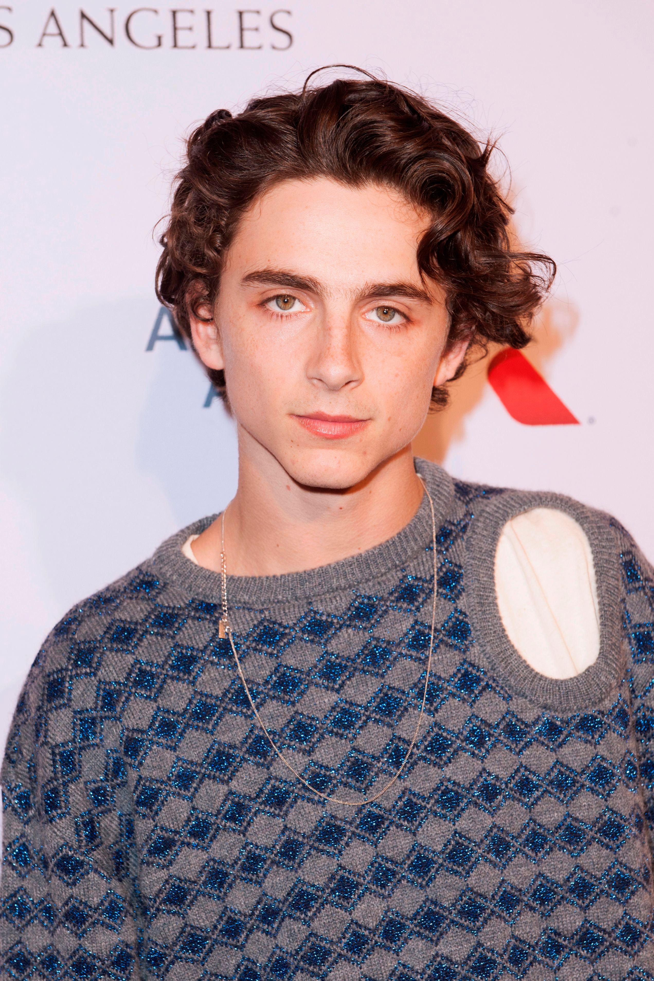 Timothee store chalamet necklace