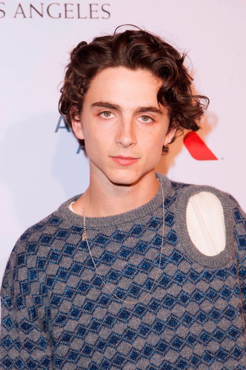 All the Times Timothée Chalamet Has Worn a Gold Chain - PAPER Magazine