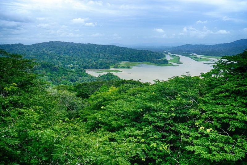 Forêt tropicale à Gamboa, Panama
