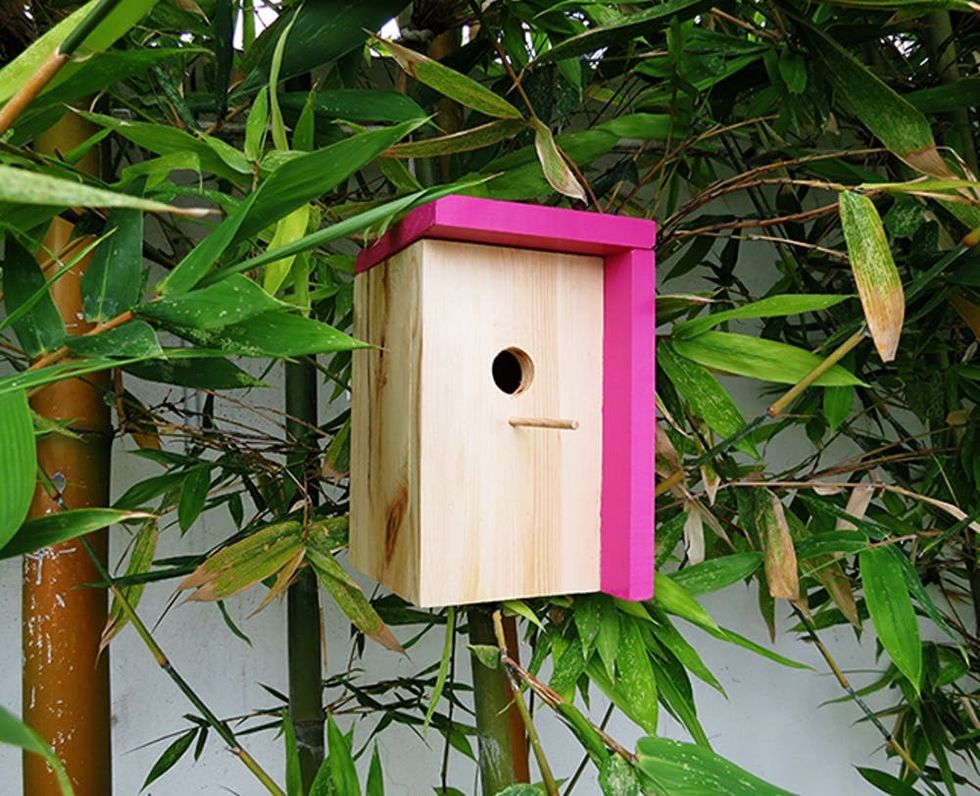 11 Colorful Bird Feeders You Can Diy Brit Co