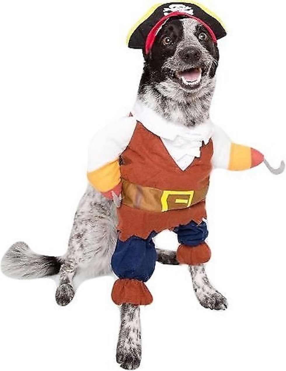 81 of the Best Dog Halloween Costume Ideas for Your Pooch Brit + Co