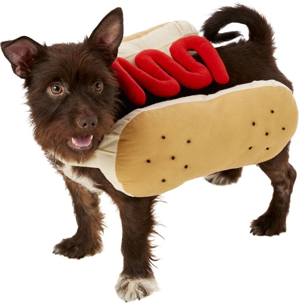 81 of the Best Dog Halloween Costume Ideas for Your Pooch Brit + Co
