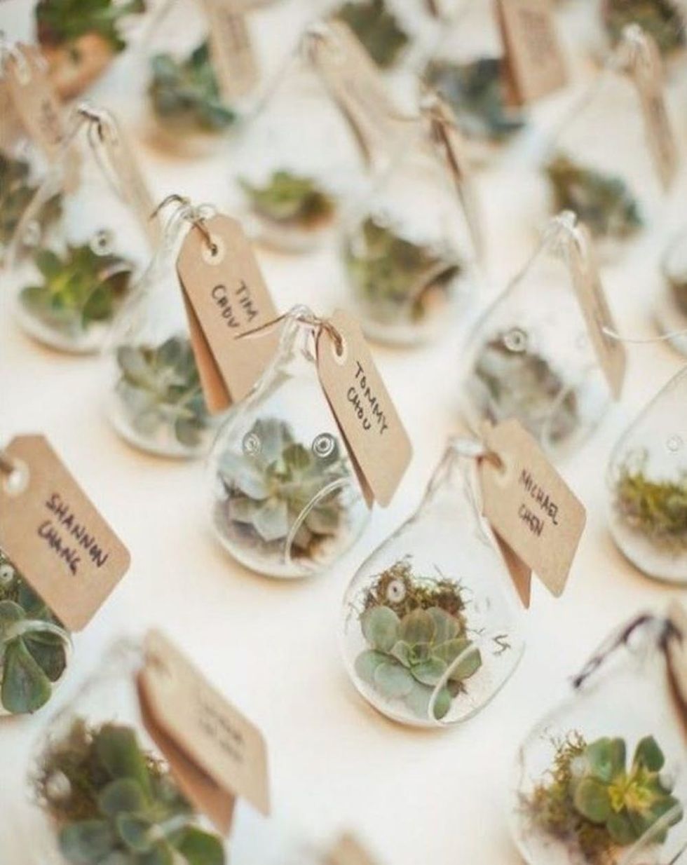 14 Botanical Wedding Favors For Your Greenery Themed Wedding