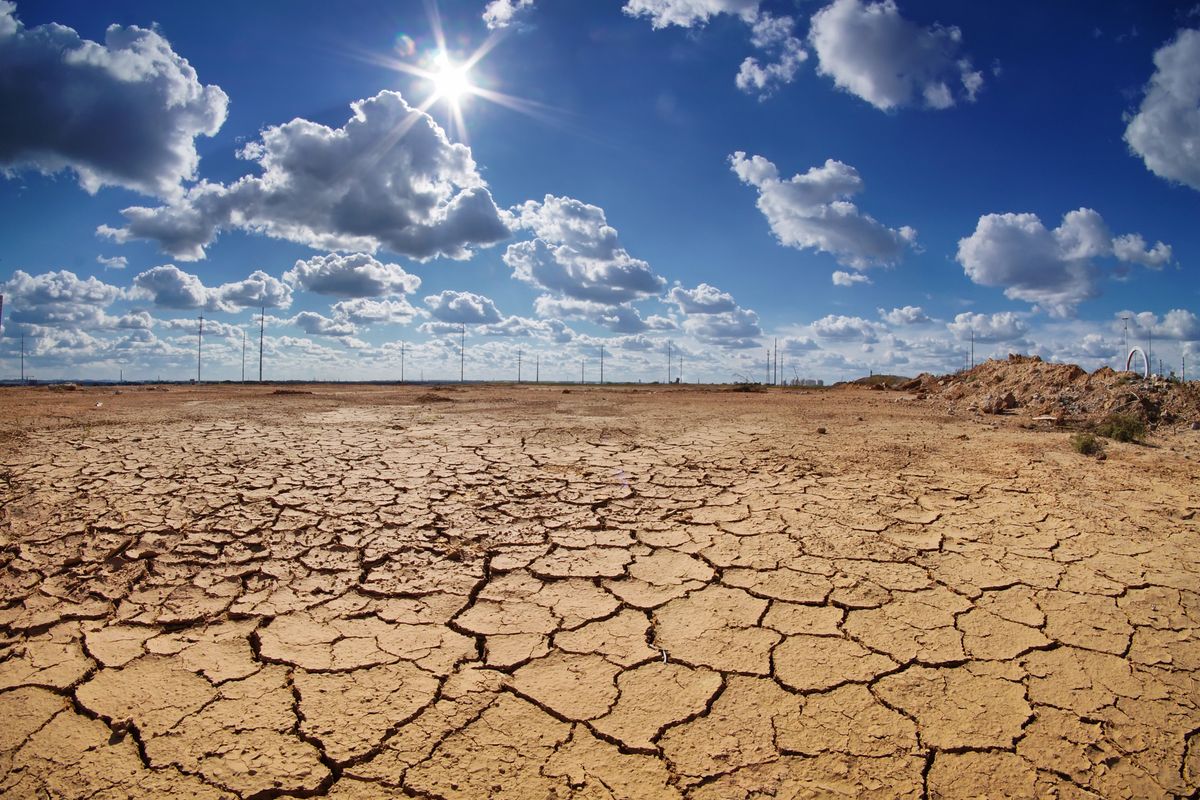 Adesso i gretini invocano il bavaglio green