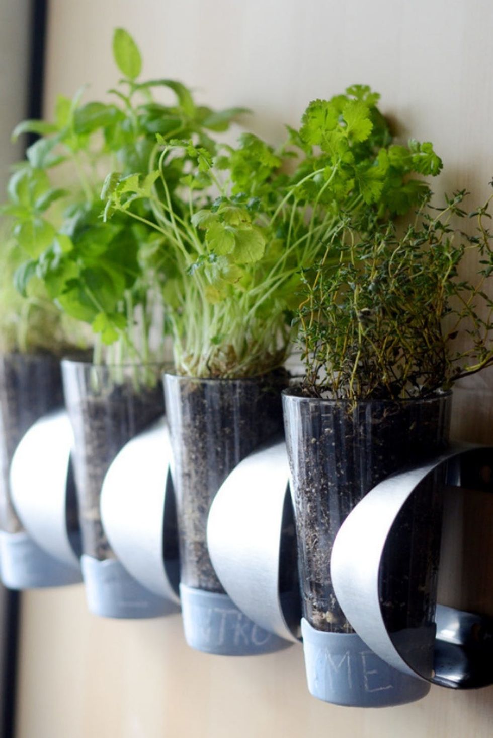 25 Ways To Start An Indoor Herb Garden Brit Co