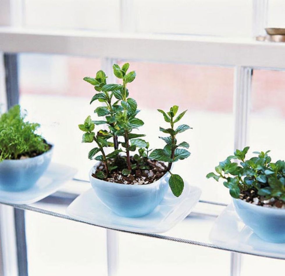 25 Ways To Start An Indoor Herb Garden Brit Co