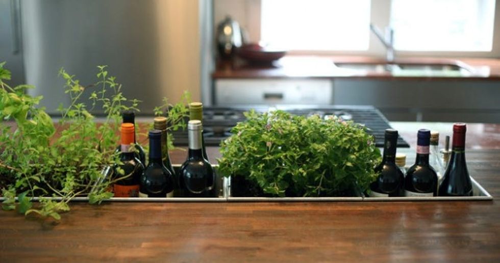 25 Ways To Start An Indoor Herb Garden Brit Co