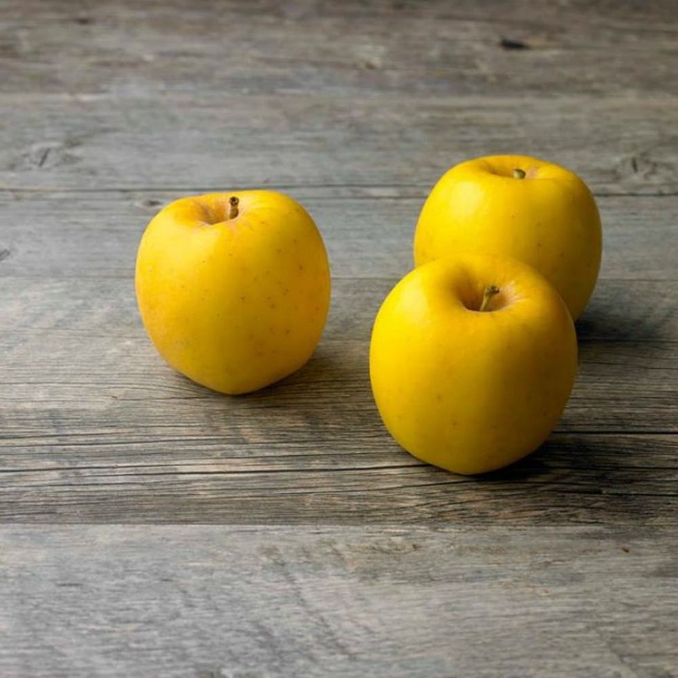 The Opal Apple Never Browns — But Does It Taste Good? Brit + Co