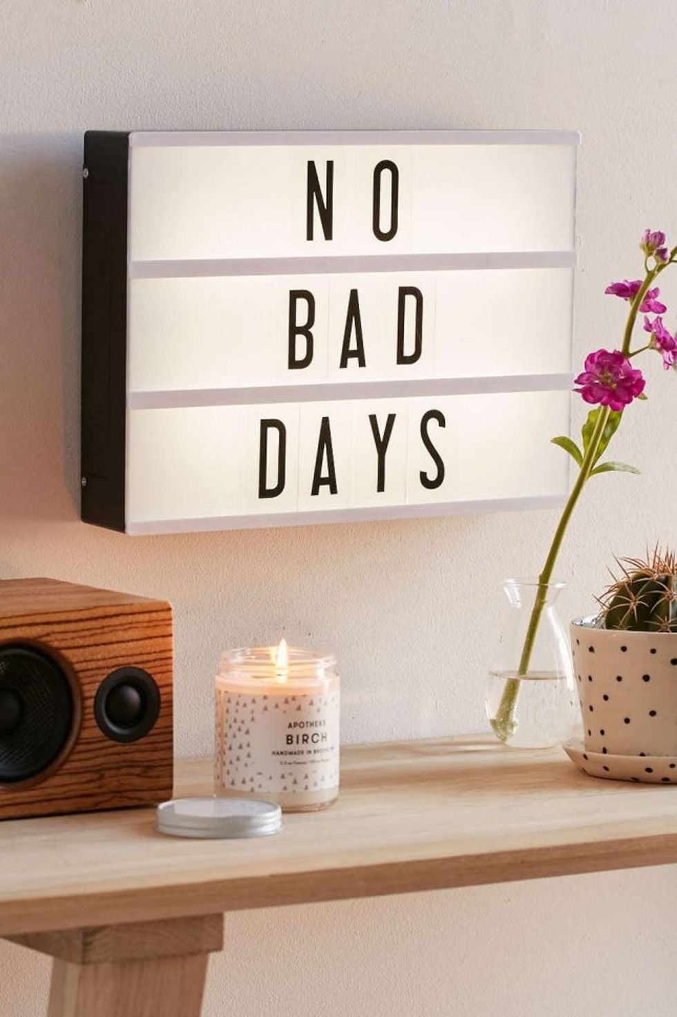 Get Lit With These 15 Cheeky Trendy Lightboxes Brit Co