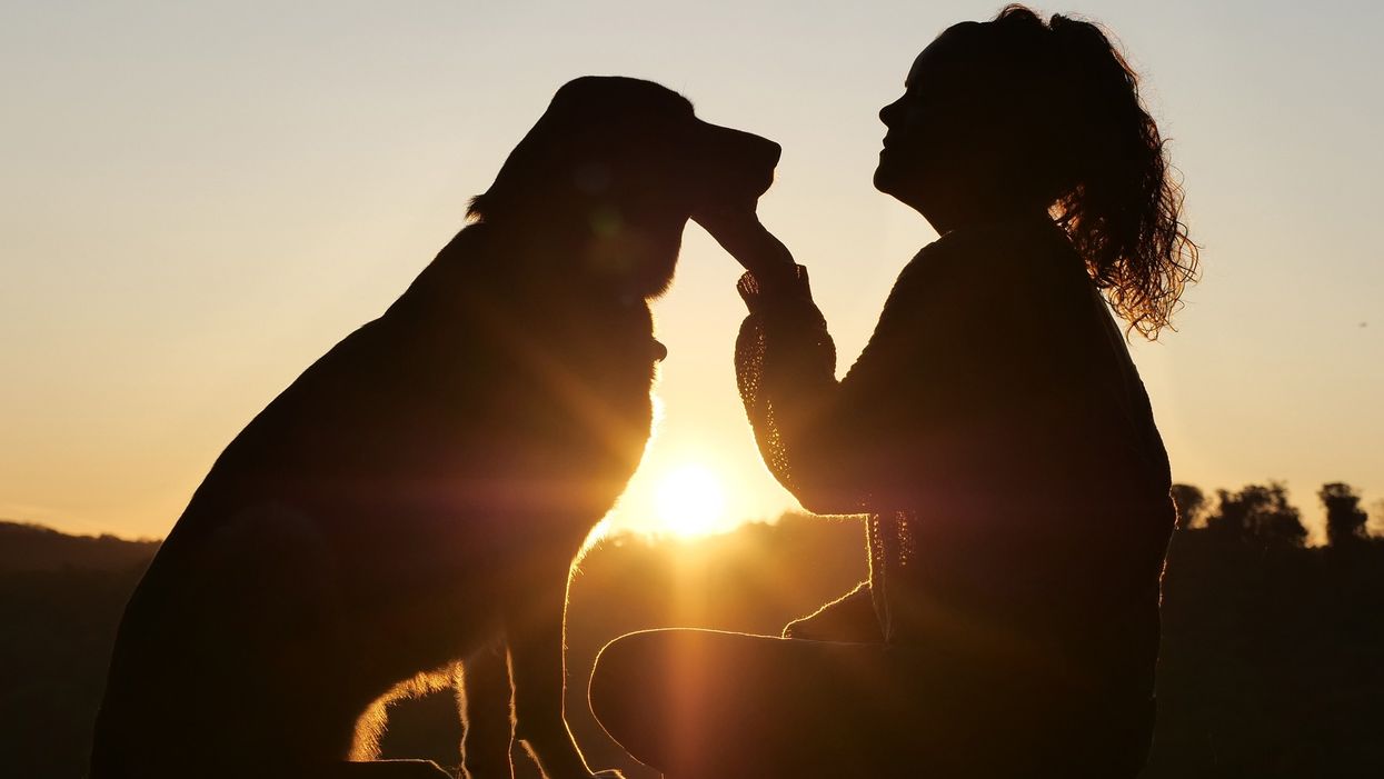 Owning a dog could help you live longer, research suggests