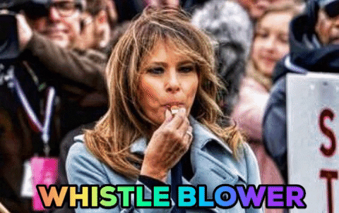 Did Democrat Whistleblower Make Sweet Love To Elizabeth Warren Or Bernie Sanders And Put It All In A Letter To Himself? (No)
