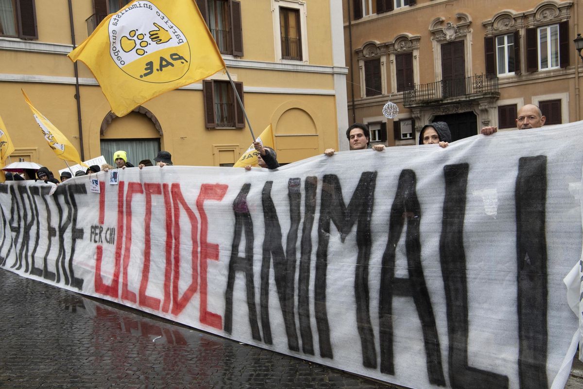 L’ambientalismo finisce fiocinato dal giudice
