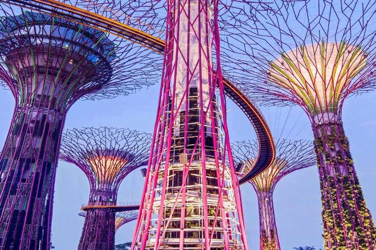 Magnificent solar-powered 'supertrees' are the highlight of Singapore's new 250-acre eco-tourism project