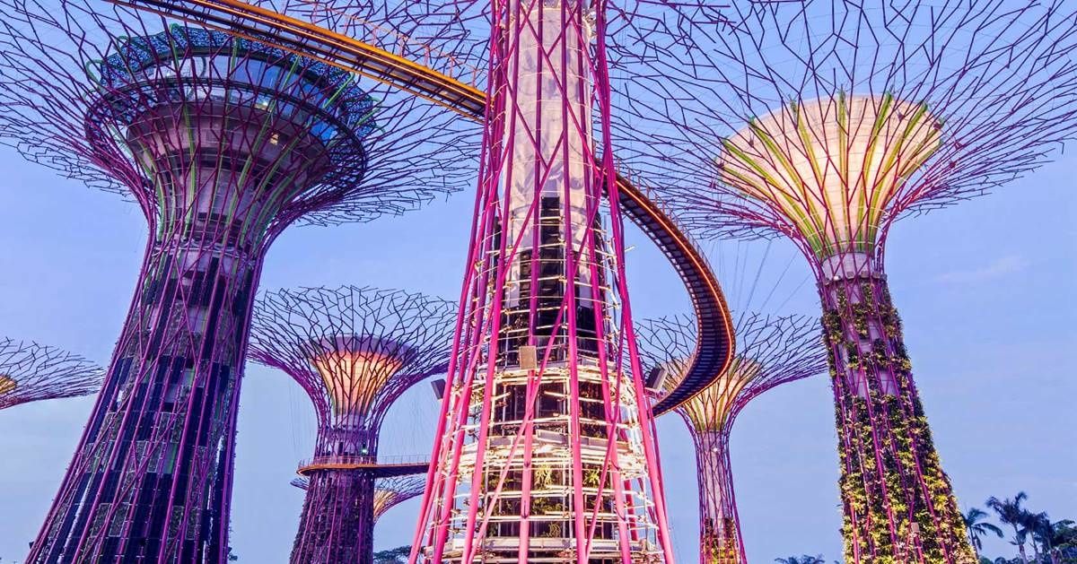 Magnificent solar-powered 'supertrees' are the highlight of Singapore's new 250-acre eco-tourism project