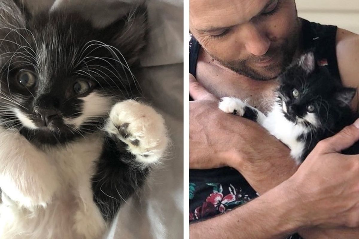 Kitten Insists on Being Cuddled After She Was Rescued from Rough Conditions