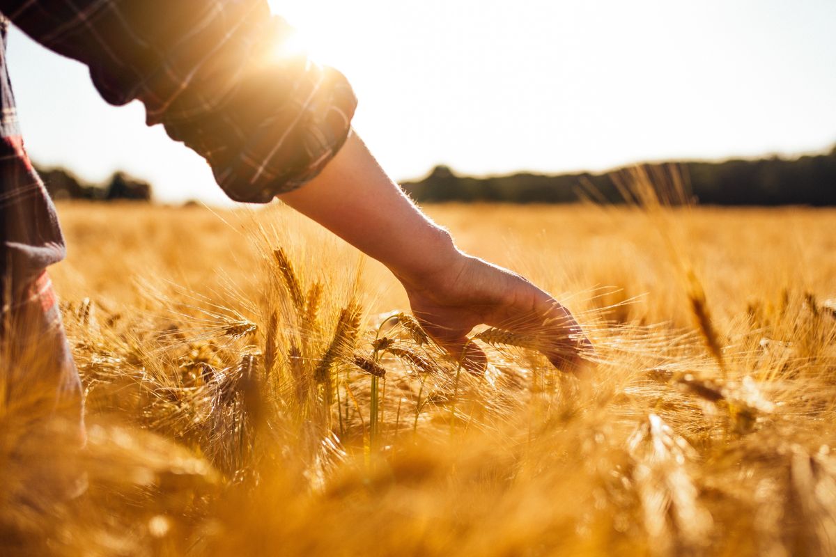 Il clima sulla Terra cambia da sempre. Il caldo porta più benefici che danni