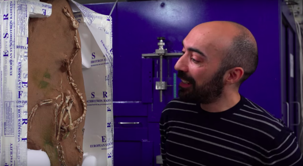 Duck-Like Dinosaur Is Cute and Menacing All at the Same Time—And We're a Little Creeped Out