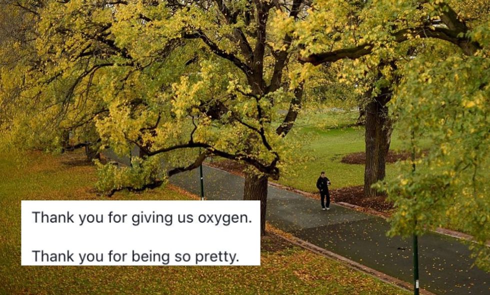 After a City Assigned E-Mail Addresses to Its Trees to Help Care for Them, People Started Using Them for the Sweetest Reason