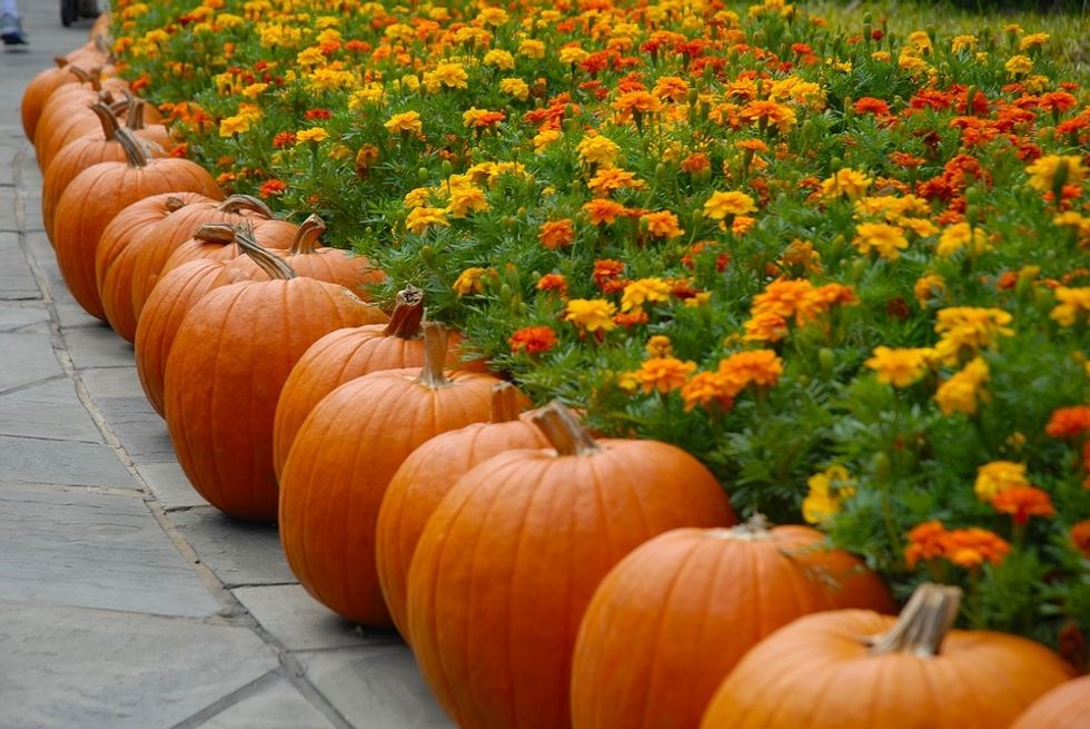 October is Over
