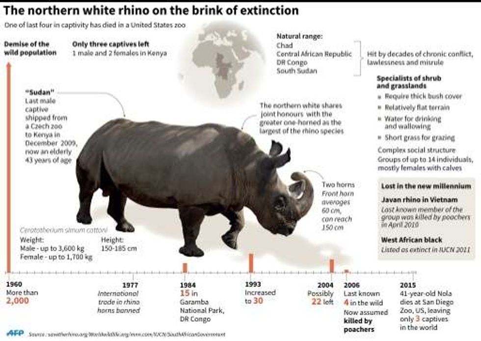 The Last of the Northern White Rhinos -- Can We Save Them If Less Than