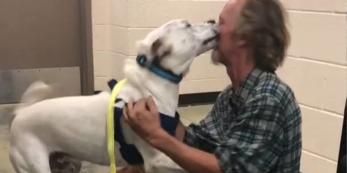 Video captures the incredible moment a homeless man and his beloved dog ...
