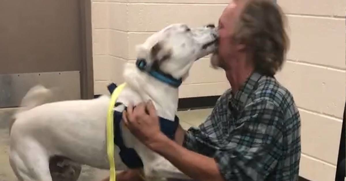 Video captures the incredible moment a homeless man and his beloved dog are reunited
